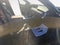2024 Mazda Mazda CX-90 3.3 Turbo Premium Plus